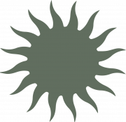 A gray-green sunburst shape with wavy, pointed rays on a light background.