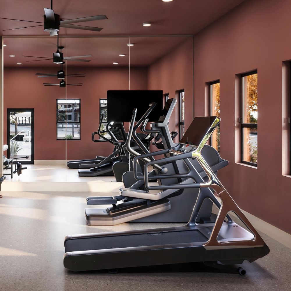 Modern gym with treadmills and ellipticals facing mirrored wall and windows with autumn trees outside.